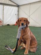 c28c4dbac0fbebb94d275670c195fe93_138x184_fill