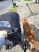 c2f37beccab645b20921f108b3d8aa74_138x184_fill