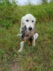 c2f95ad70e9d94f045dd57e6bda89f32_174x232_fill