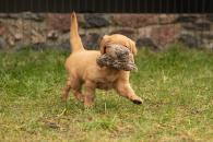 c3008abc6944e64c1b43adfc6ac34365_195x130_fill