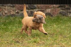 c3008abc6944e64c1b43adfc6ac34365_246x164_fill