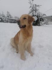 c33dbc1a6ba0f2f86d517c9bb433315f_174x232_fill