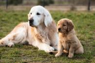 c33e24dc783c0c6886a2970099a7b734_195x130_fill