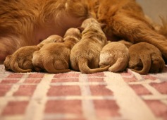 c3400d083d348f9cb93af5efabb8e218_237