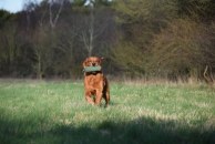 c34227f78c077d3494d20954291d1fdd_194