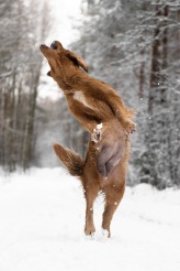 c346ba915bfc25f3b33ccfc7a8066e17_164x246