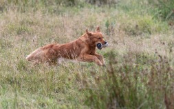 c34ab68fc582d2effc7dceb28a216106_253