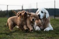 c35d97f77ee0d6c527850f6eb1800b39_195x130_fill