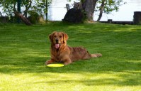 c36dd68ec59a23de03a5759a8b6b7c46_199