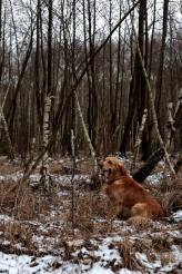 c37eb9d87373f2dc7471ddba5b4cd4fe_164x246