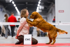 c38d3f8eb0f627f9b06083f727b258a7_246