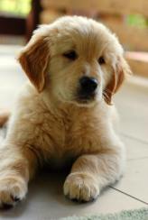 c3ac7e2505837cd3628240071dfff86e_164x244