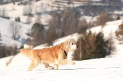 c3f25ce1fa91694d1514c1288941044a_246