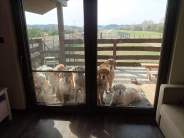 c47a29dd96c17613ab71abe6d4bf667c_184