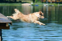 c4b60ea24db98d15274694dfb425c4b8_246