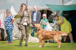 c4b6fc91d45de93892b4ee4399177efc_246