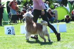 c4bf86c1649902874b28a03f83efd8df_246