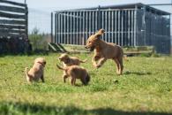 c4e9a423d1c83fe5b7b095cf7852afe7_195x130_fill