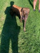 c4f8b464a34d3b3608f49282bd530790_138x184_fill