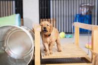 c504c8bdaa08ab0fdf0f187a6c0d68d9_195x130_fill