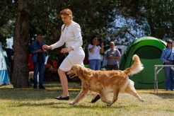 c50a0567d6eb6d4a3a3c0880d9d0d9e2_246