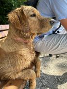 c56cbc417cc2901f894f68ca56ec256a_138x184_fill