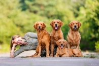 c596a3bfe17ce6e6393184acd1f9b0f5_195