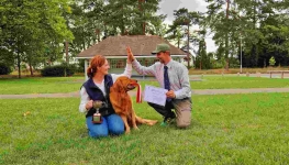 c5d98e8b59fc3655fceb6d91ef703bcd_263