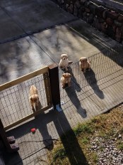 c5e3dec2be9277687d448cd7119b0d84_174x232_fill