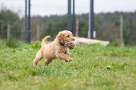 c5e52d15fcd27e756f3f8400388158e7_195