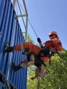 c62912f45ed3a5cec4c33acdb22b0666_138x183