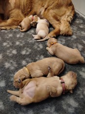 c649e467e92ca54973ddb0fff948e69b_174x232_fill