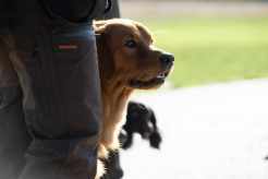 c6782dc8d30cd8e4111b218e20ad2dfc_246x164_fill