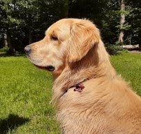 c68270a4aa0ee3ff1423c8aa670617f8_204