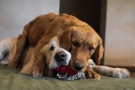 c6916561eb97763357f8ea999ead2d6c_195