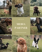 c6c0f439dddf4fdd83b943d75f60122d_178x222