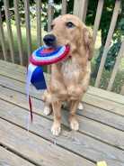 c71ff097a9ec025fe26845d63dc836d3_138x184_fill