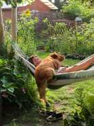 c767a54d697aae2a29b9c0b25a201f67_138x184_fill