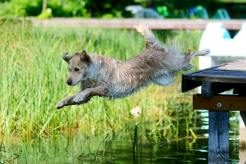 c78fa64fbe9563a2728abc2a2af494bb_246x164_fill