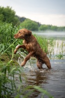 c7f408b97d1c56c49d5e0989bed3548f_130x195