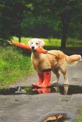 c7f69f8029cf0eff85551aa2952a892f_164x245