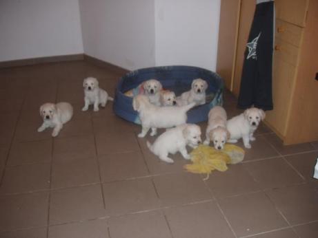 c8050868289b58d14d42e95d6a125461_461