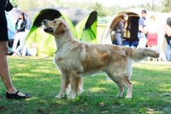 c86865eca1550ee30d72f74ac96eec3b_246