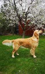 c877e8fa92fa2aa8c3da2c4944a06f54_156x257