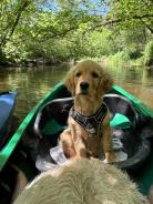 c89104a66e5d038dd809d166596dea72_138x184_fill