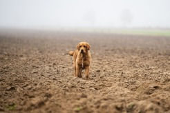 c89c9077dc15160b5fbd32f28381121d_246