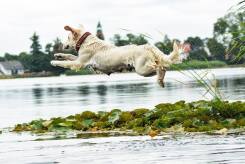 c8a477ed776847678d17778547a7862d_245