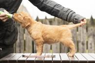 c8d9c59c1517113acbc49cdf4585f17f_195x130_fill