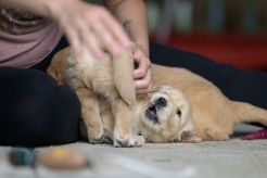 c8f63da00fa79025840e10a82067c46d_246