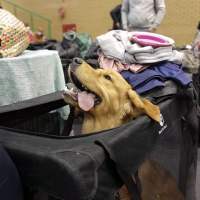 c8f6aed09cabe64ac4265b6f918f3b87_200x200_fill